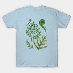 Watercolor Fern Illustrations T-Shirt